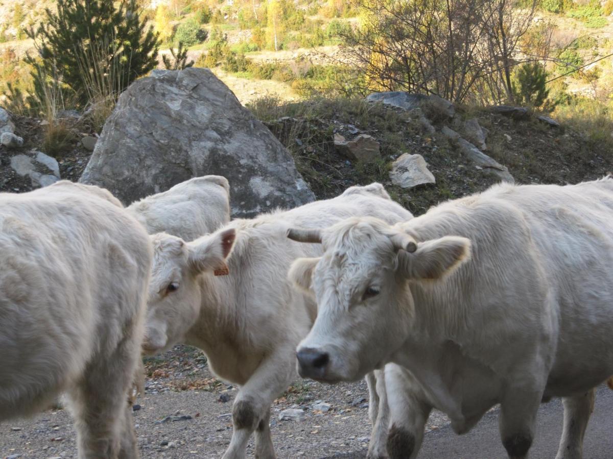 Casa Rural Borda Marianet Cerler Kültér fotó
